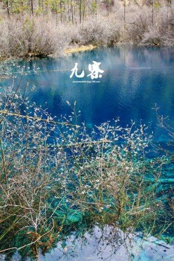 解答无忧,尽在自从知道香蕉加麦片可以这样吃,我家隔天做一锅,开锅瞬间口水流问答平台