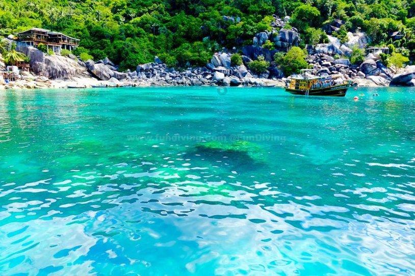 探秘橄榄油好处有哪些啊?了解的可以介绍下吗?,解答你心中的疑惑