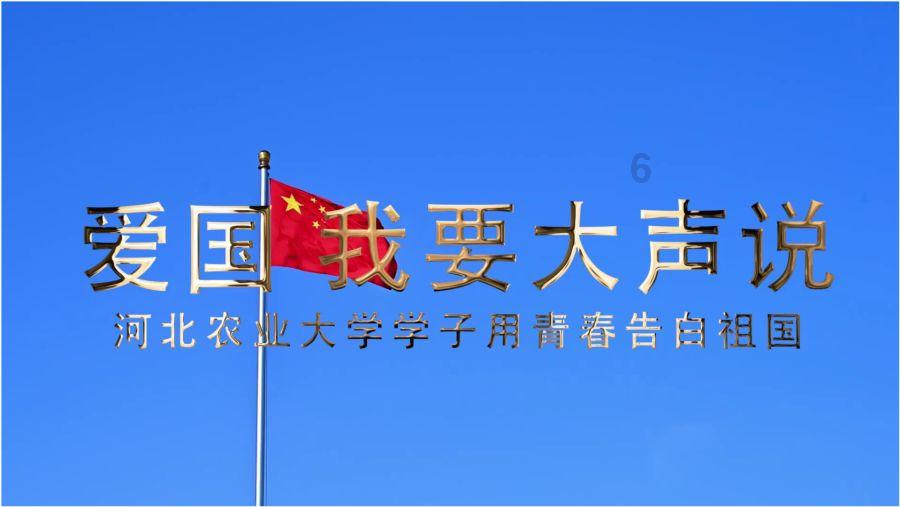 为什么鲨鱼要不停的游动呢？